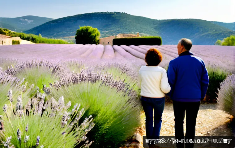 여행하기 좋은 계절 - Photorealistic spring travel scene in Provence, France: a relaxed middle-aged couple walking beside ...